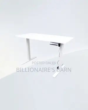Professional Single Split Full Electric Desk Compact Sit Stand