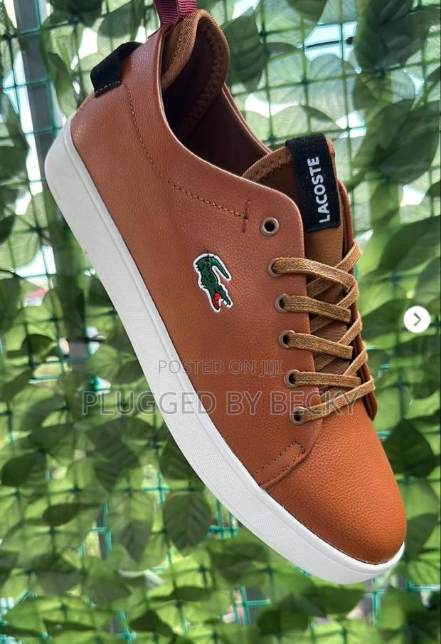 Lacoste Brown ,Lacoste Brown Men's Shoes