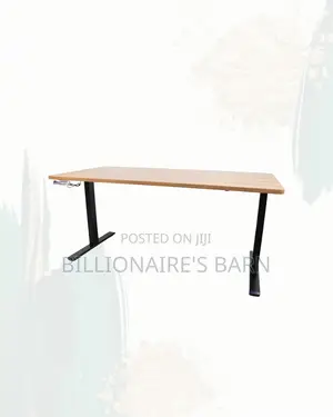 Comfortable Dual Motor Electric Standing Desk Dual Monitor Workspace