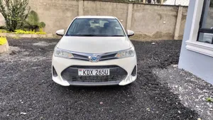 Toyota Corolla Fielder 1.5 Petrol AWD 2019 White