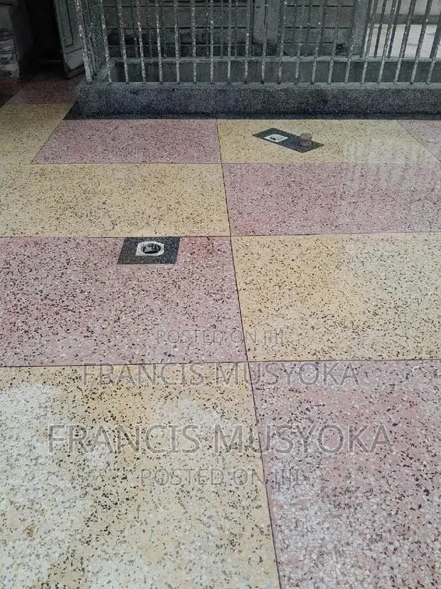Terrazzo Floors Sanding