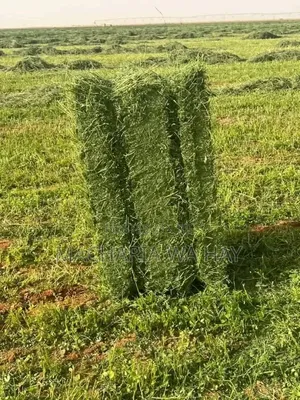 Pure Lucerne Bales