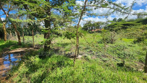 Plot for Sale Near Green Garden School Nazarene Area - thumbnail 6