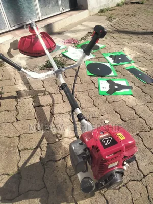 Lusqi 4stroke Brush Cutter
