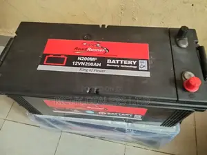 Roadrunner N200 Maintenance Free Battery