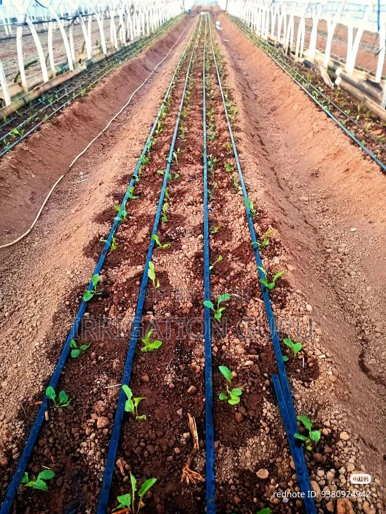 Drip Double Emitter for Cabbage