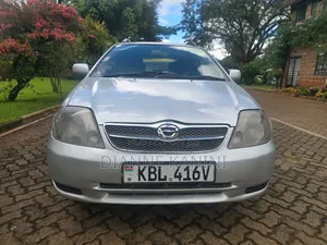 Toyota Corolla Fielder 2004 Silver