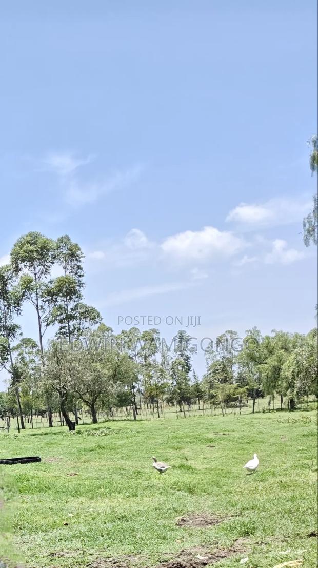 3⁄4 Acre for Sale - thumbnail 2
