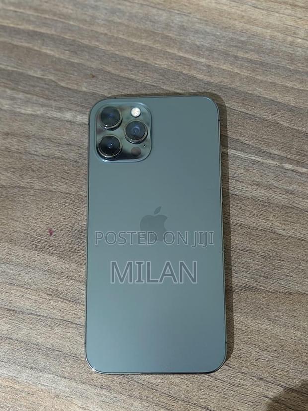 Apple iPhone 12 Pro Max 256 GB Gray - thumbnail 4
