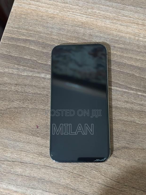 Apple iPhone 12 Pro Max 256 GB Gray - thumbnail 5