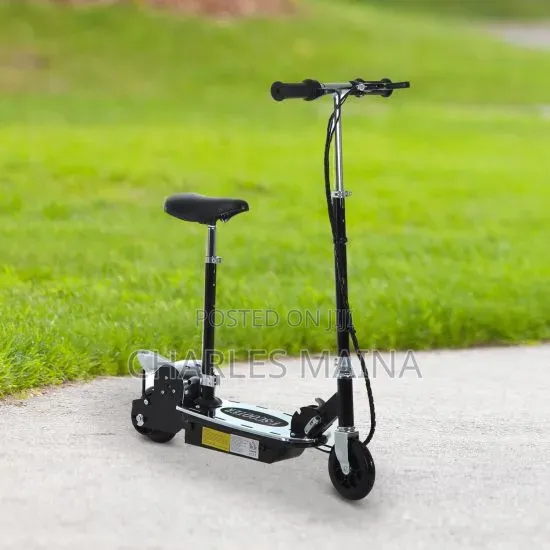 Kid Electric Skooter