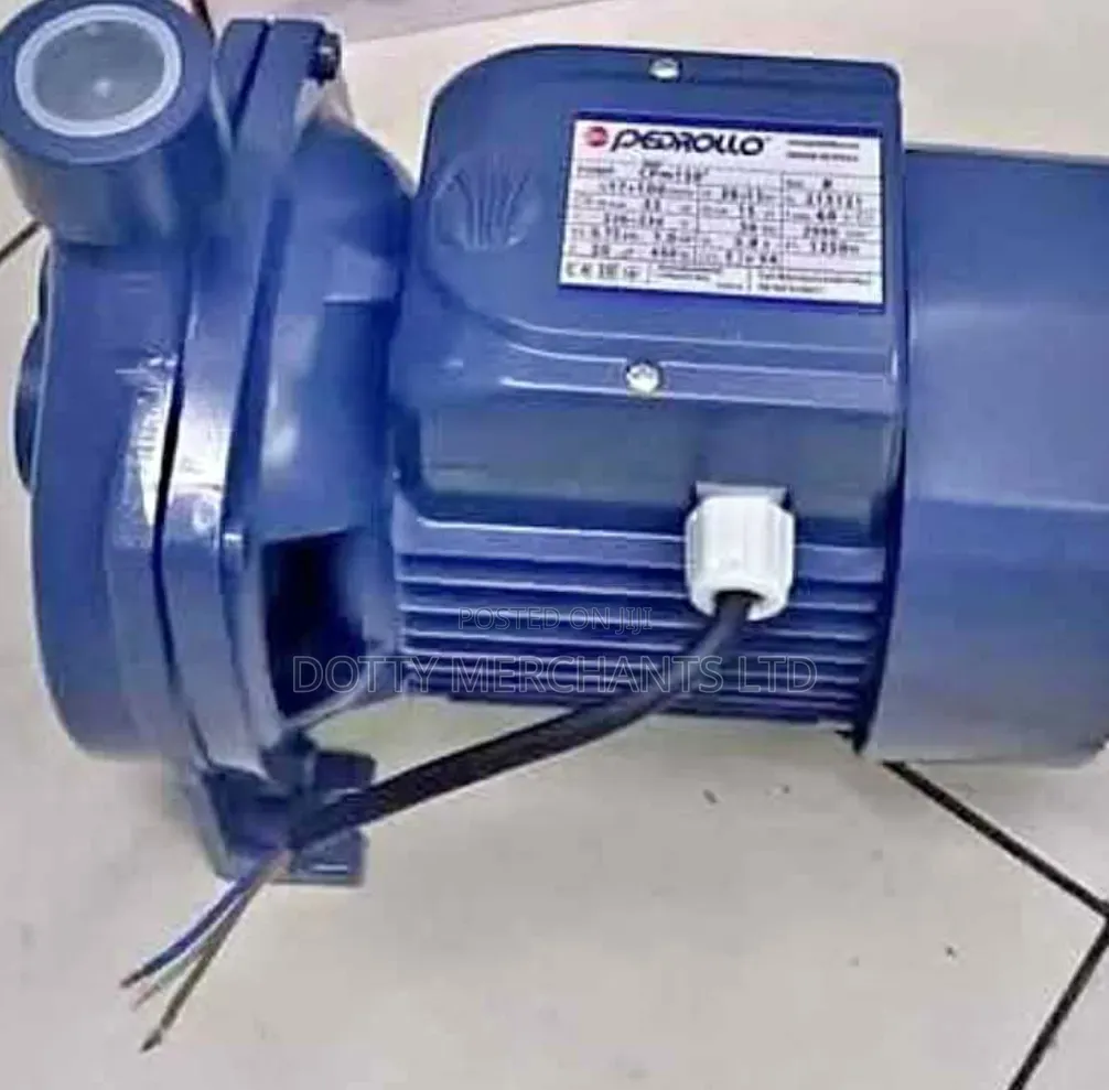 A Pedrollo Water Pump 1hp