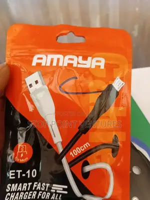 Amaya Type C Charger
