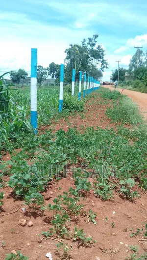 Plots in Makutano Mwea