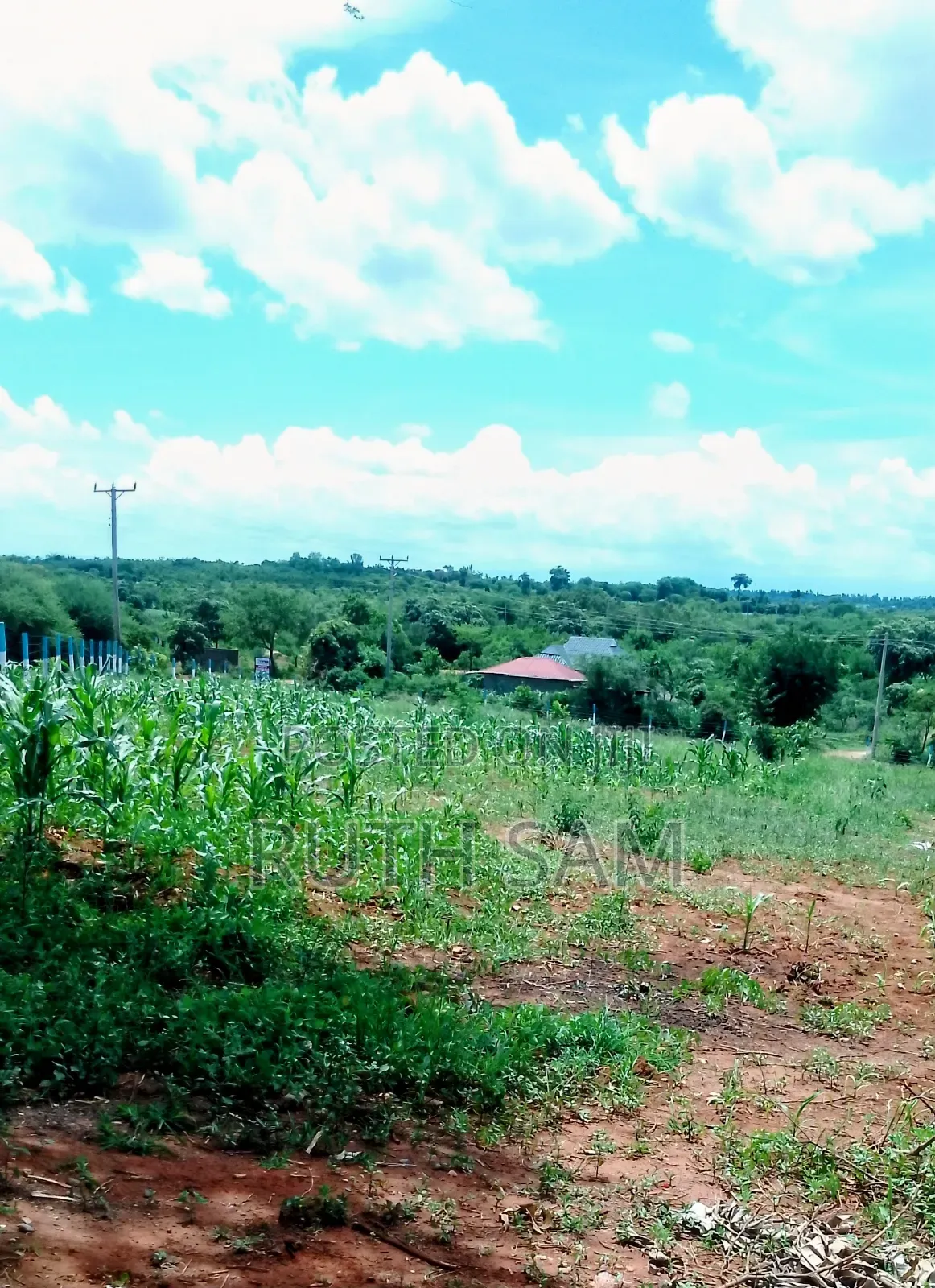 Plots in Makutano Mwea