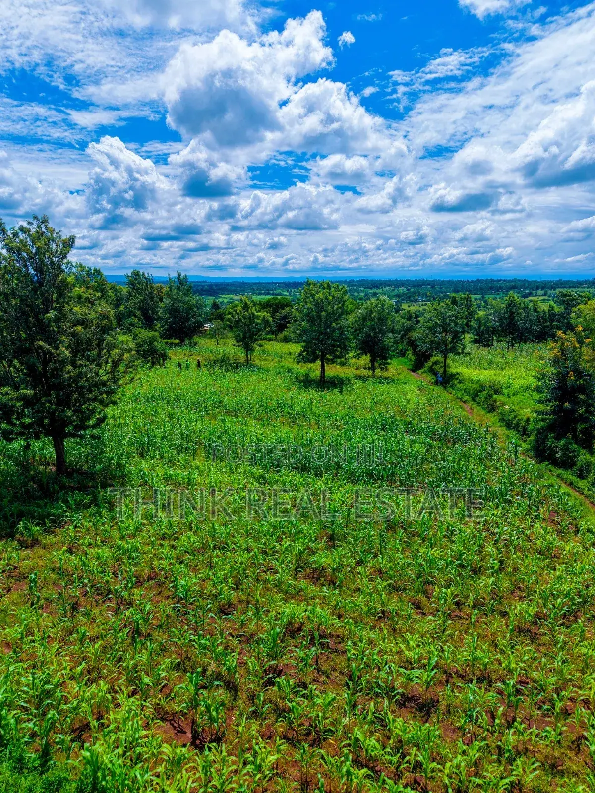 Affordable Plots
