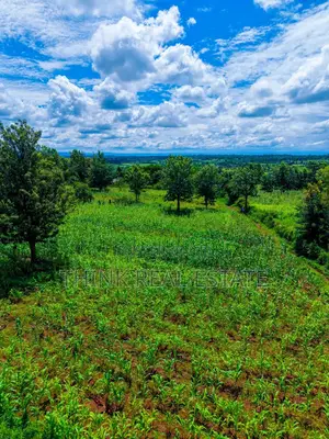 Affordable Plots