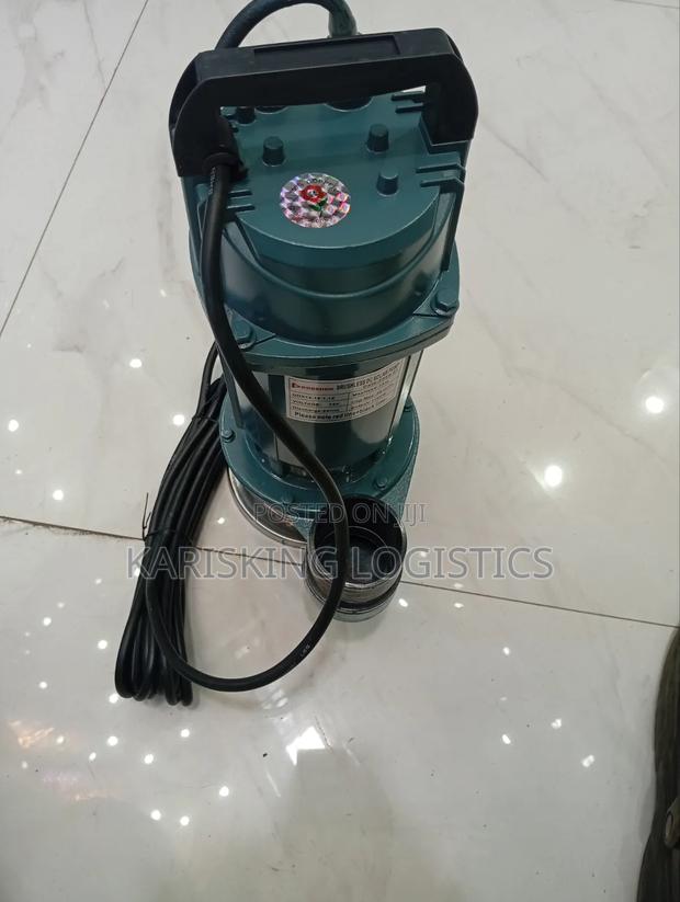 Premier Dc Sewage Pump 1100 Watts 72v - main view