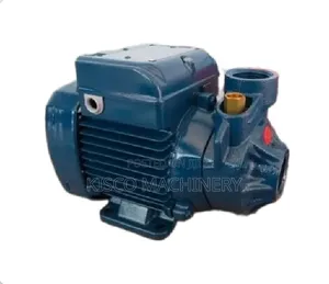 Pkm60 Ac Surface Booster Pump/0.5hp Booster Pump