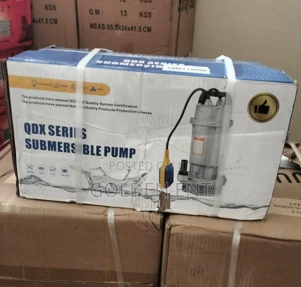 Shallow Well Water Pump/Submersible Pump