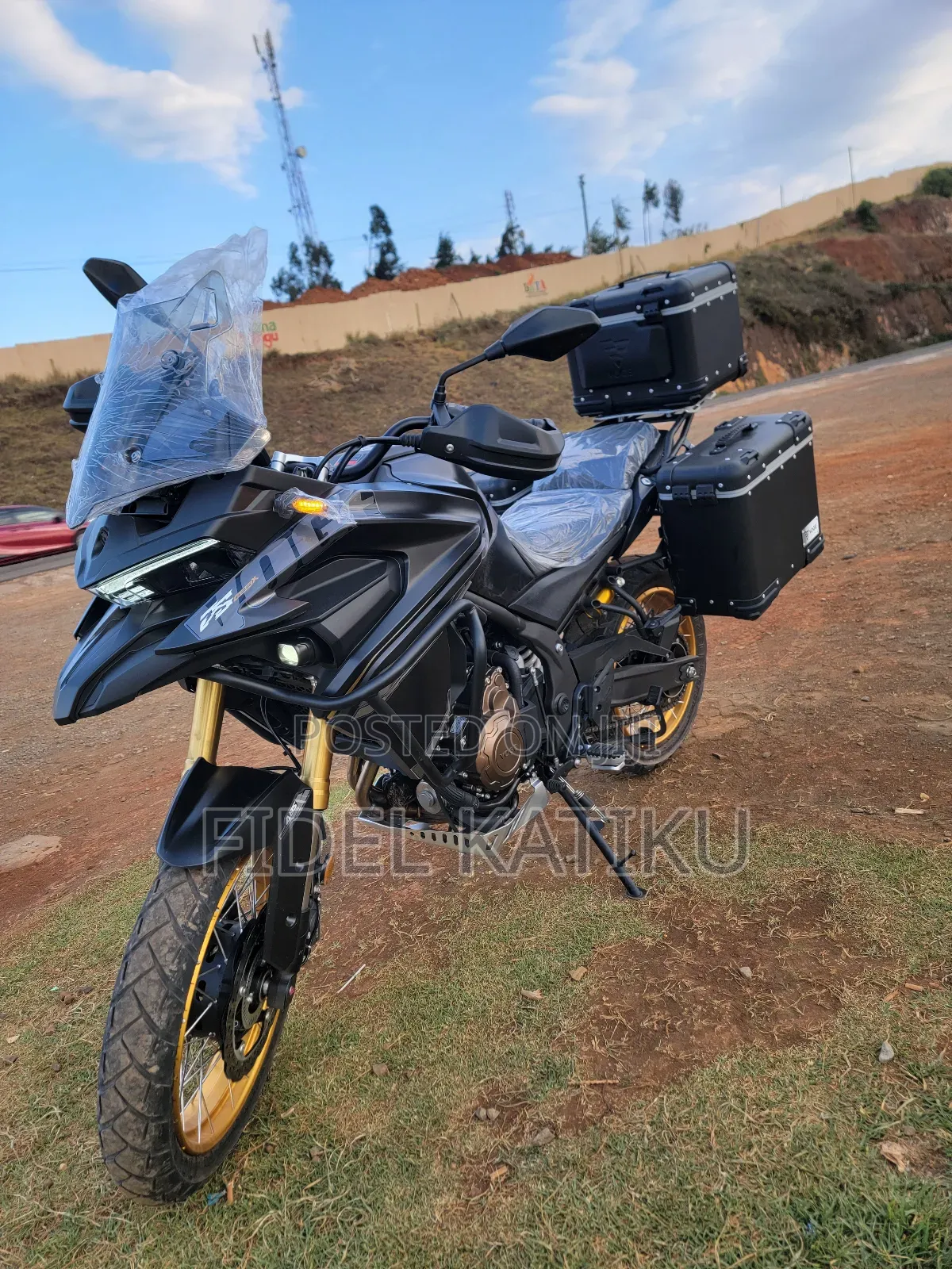 New Voge 2025 Gold