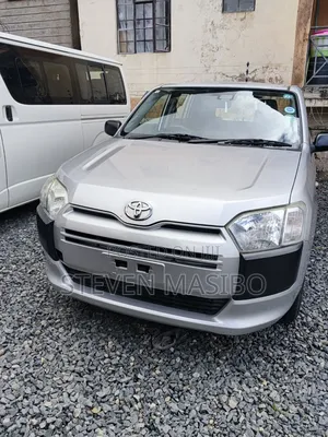 Toyota Probox 1.5 DX 4WD 2018 Silver