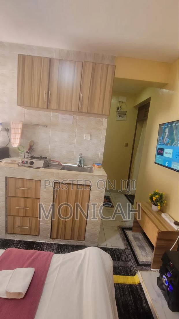 Unique Studio BNB Thika - thumbnail 15