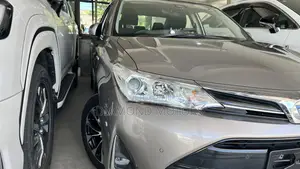 Toyota Axio 2019 Gray