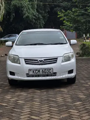 Toyota Axio 2010