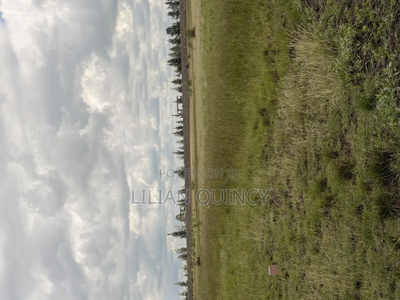 50 by 100 Plot in Juja Kalimoni Kiambu County