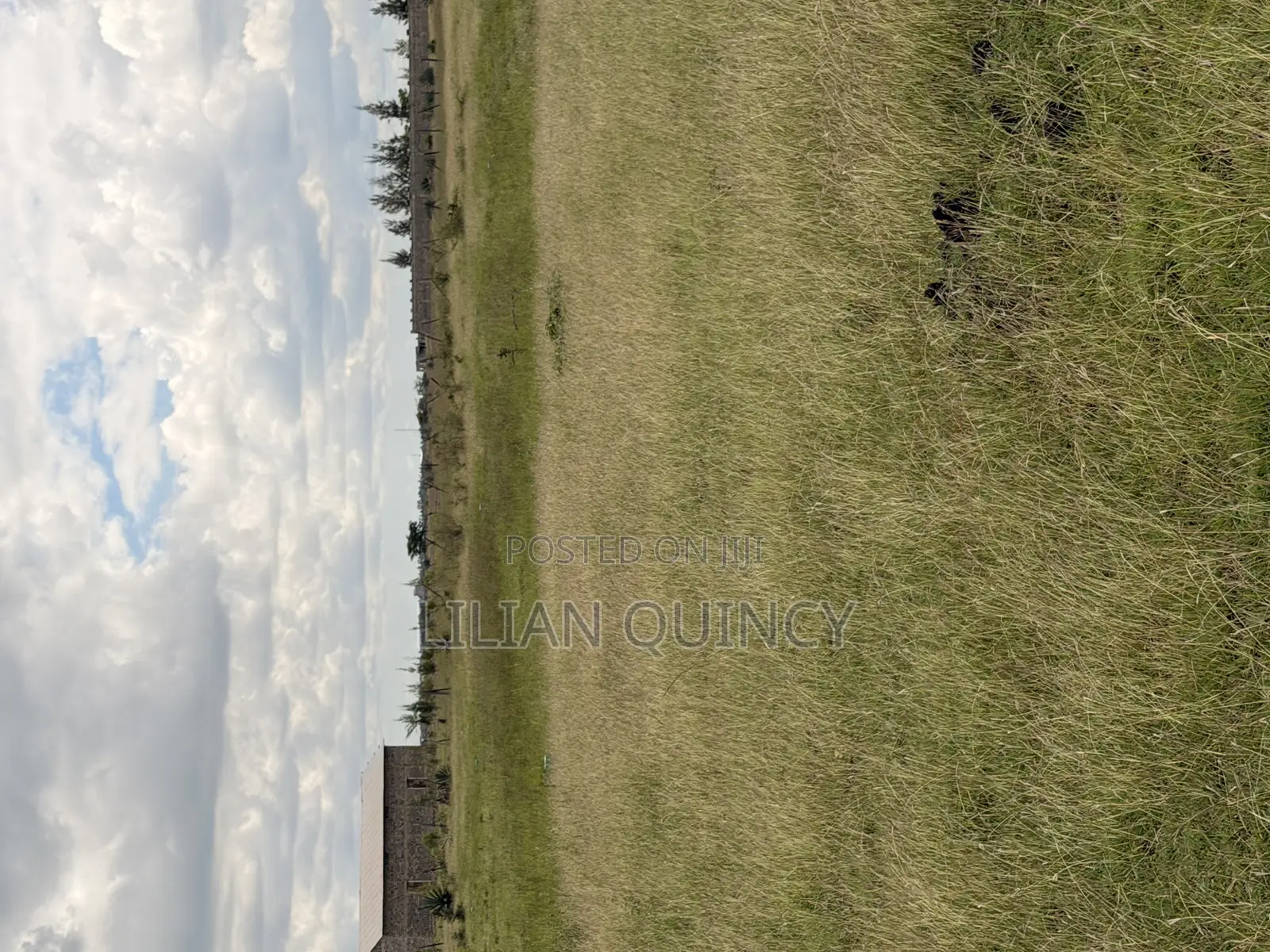 50 by 100 Plot in Juja Kalimoni Kiambu County