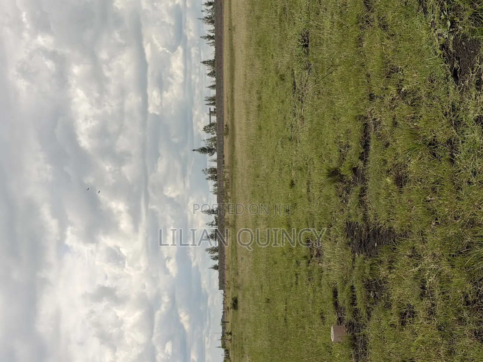 50 by 100 Plot in Juja Kalimoni Kiambu County