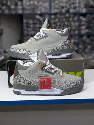 Air Jordan 3 Cool Grey