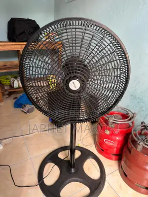 Basic Stand Fan