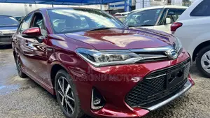 Toyota Axio 2019 Red