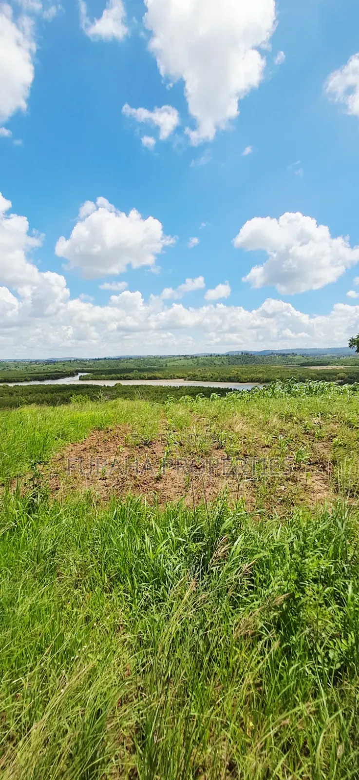 For Sale 5 Acres Creek Plot Mtwapa