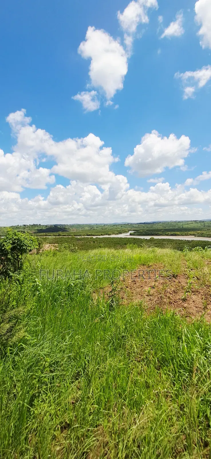 For Sale 5 Acres Creek Plot Mtwapa