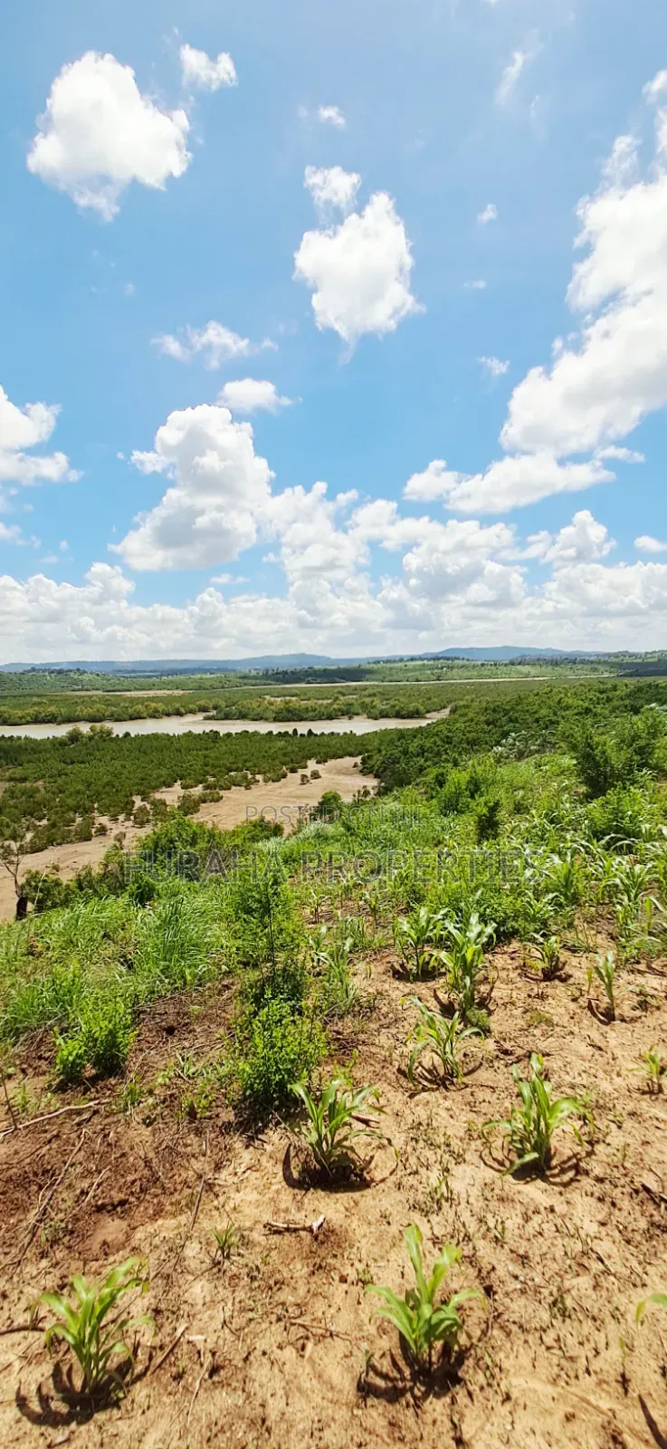 For Sale 5 Acres Creek Plot Mtwapa