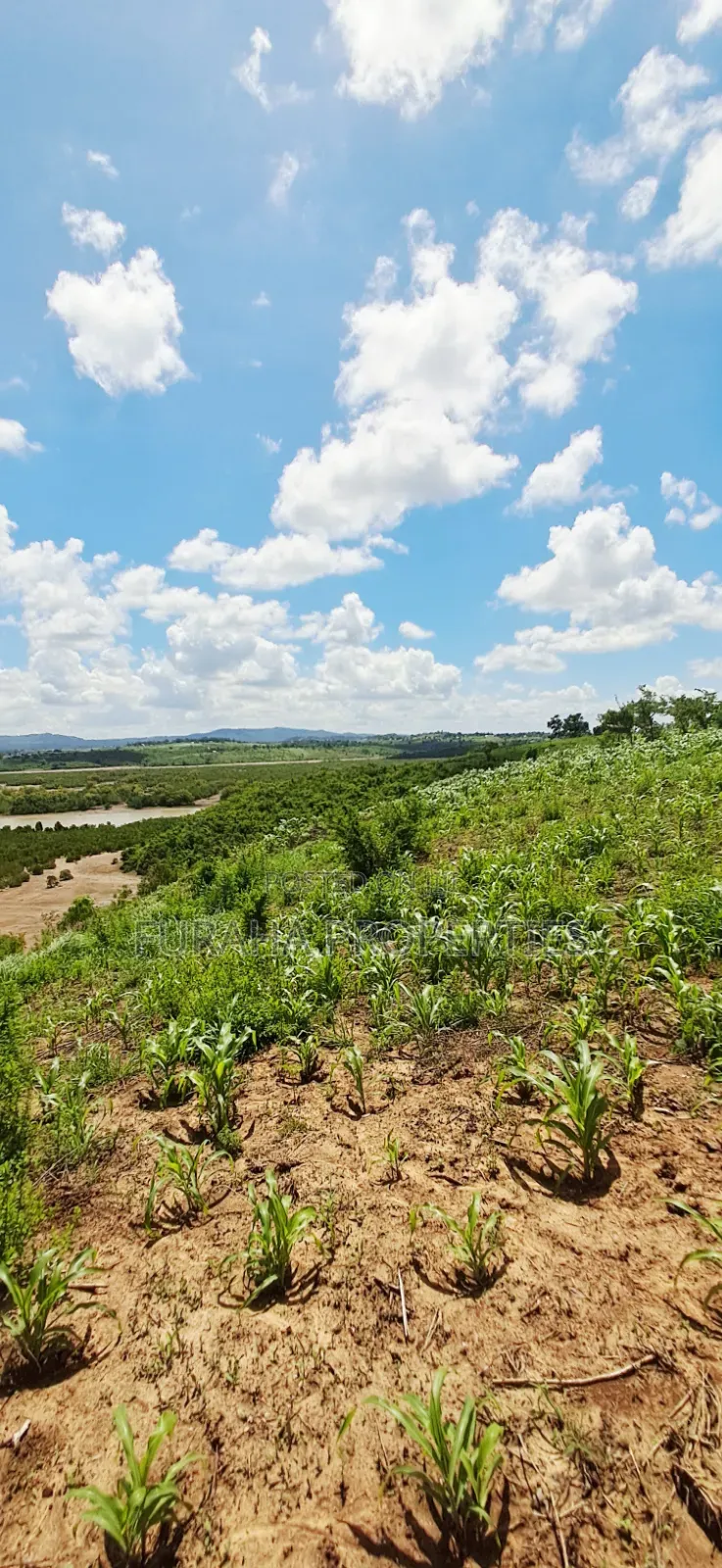 For Sale 5 Acres Creek Plot Mtwapa