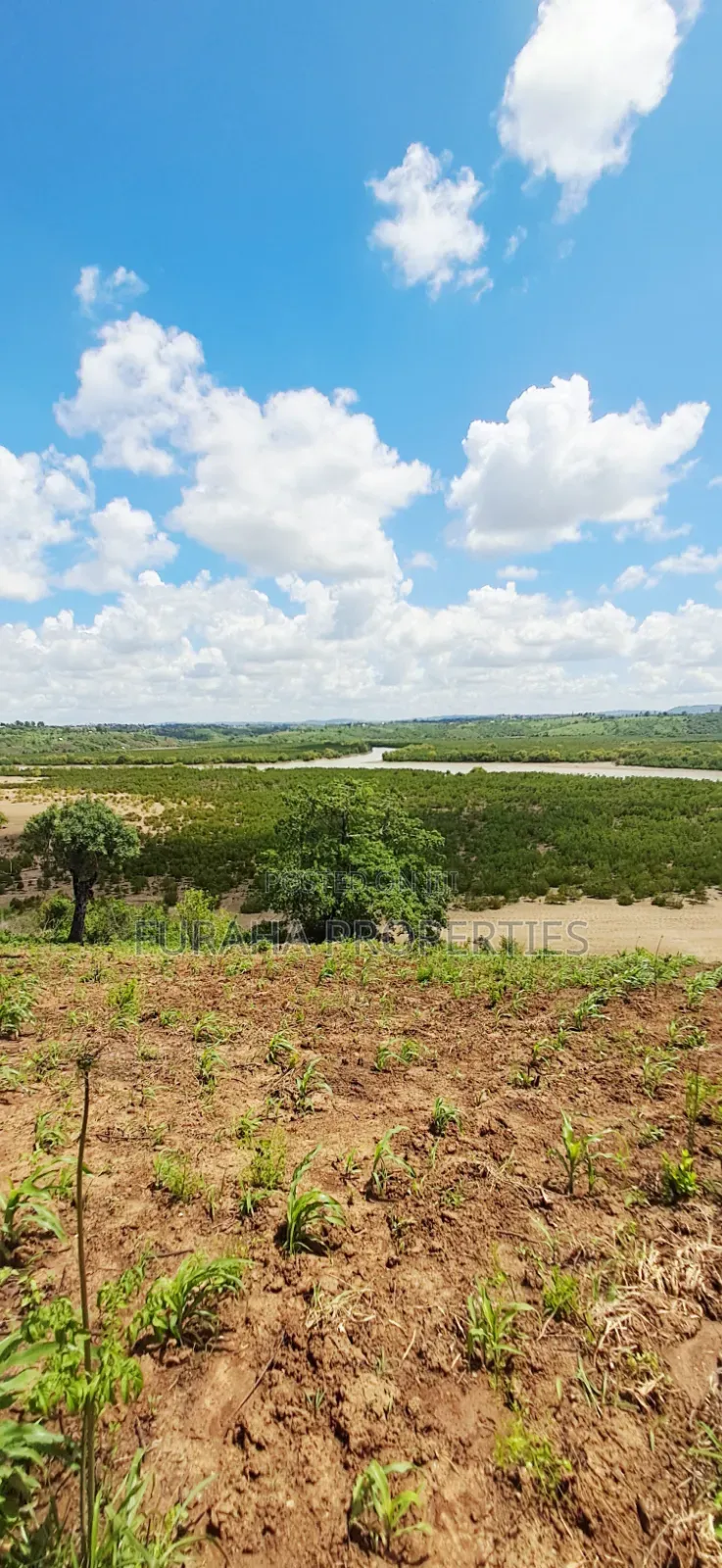 For Sale 5 Acres Creek Plot Mtwapa