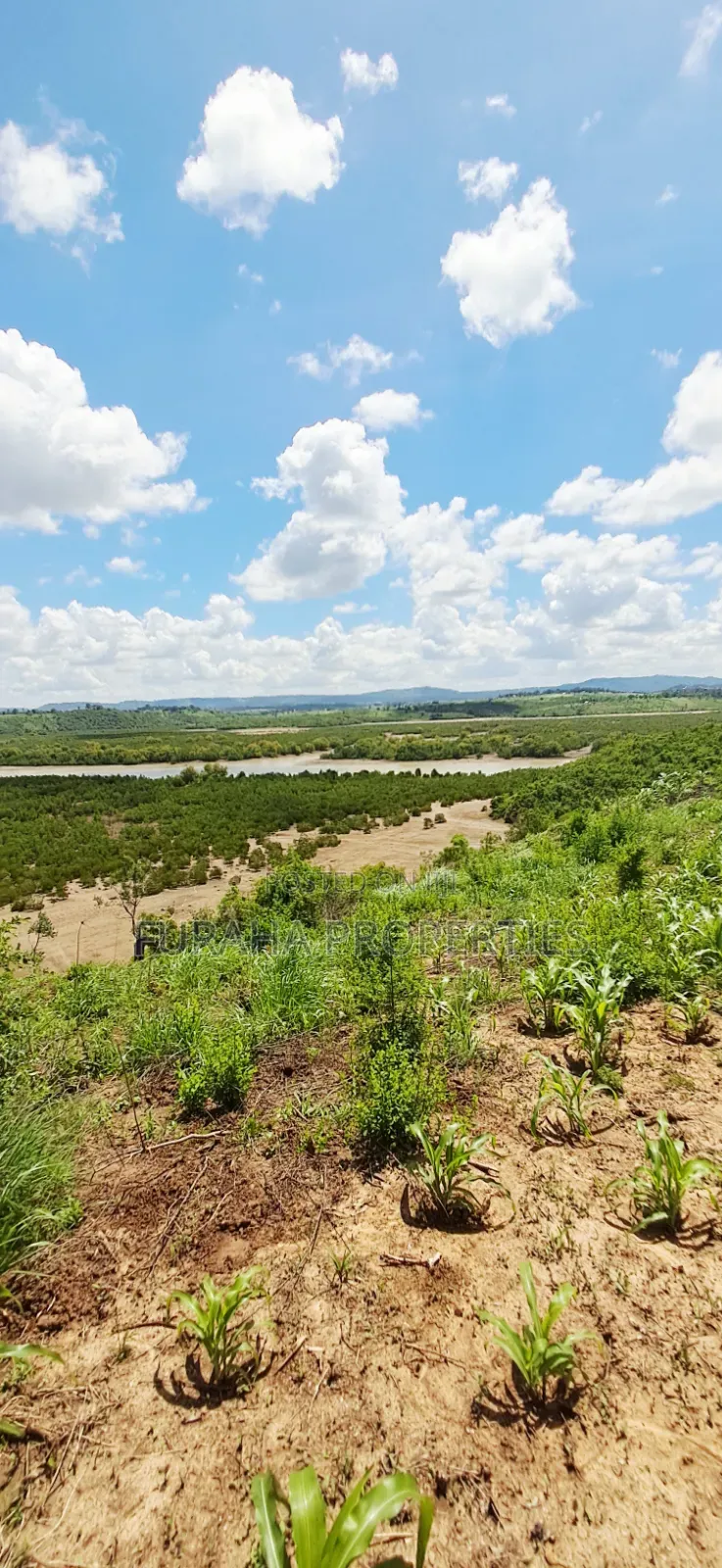 For Sale 5 Acres Creek Plot Mtwapa