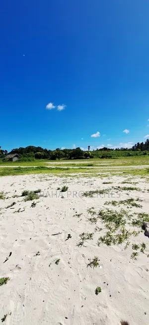 For Sale 24 Acres Beach Land Vipingo