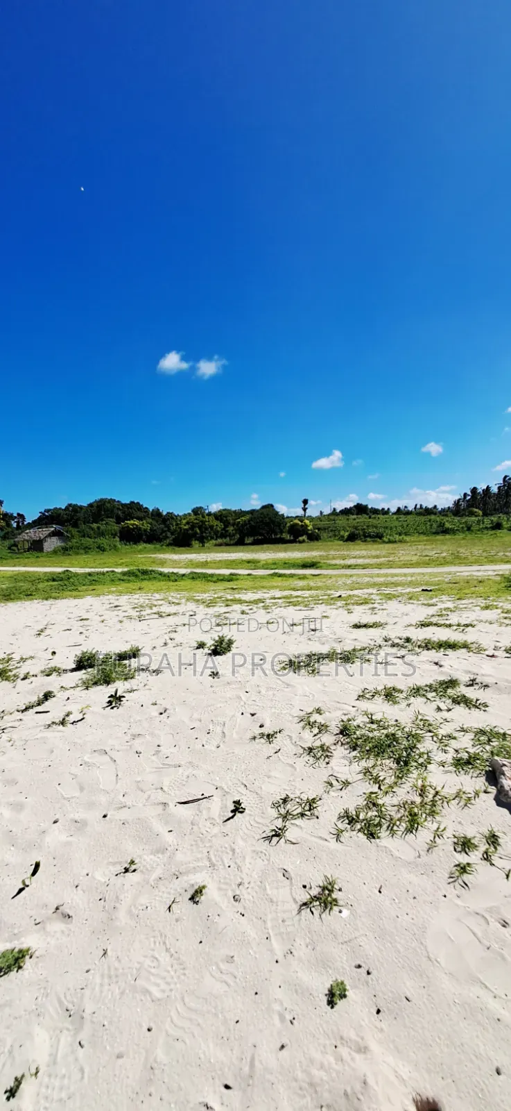 For Sale 24 Acres Beach Land Vipingo