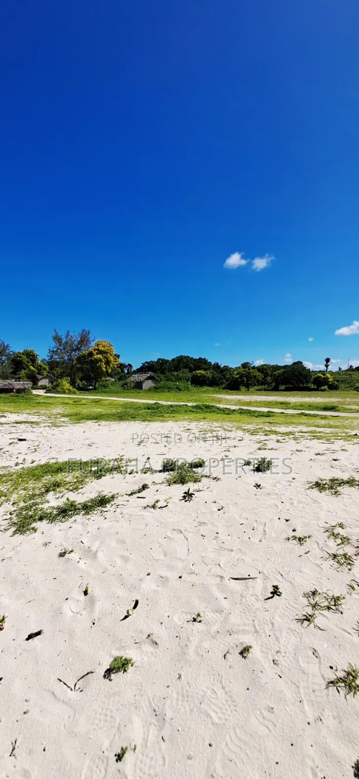 For Sale 24 Acres Beach Land Vipingo