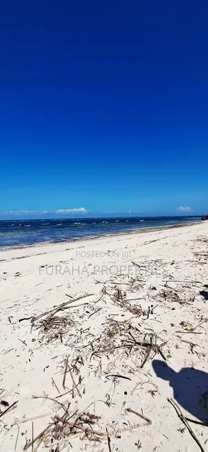 For Sale 24 Acres Beach Land Vipingo