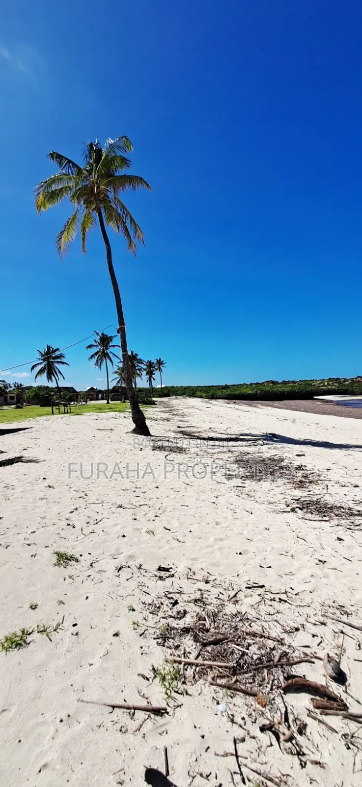 For Sale 24 Acres Beach Land Vipingo