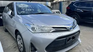 Toyota Corolla Fielder 2019 Silver