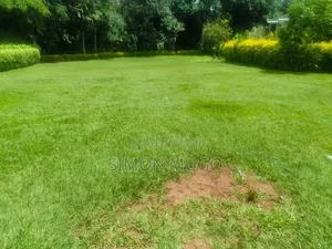 Thika Road Executive Hotel Touching Thika Road on 3.8 Acres