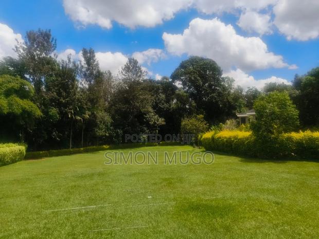 Thika Road Executive Hotel Touching Thika Road on 4 Acres - thumbnail 8