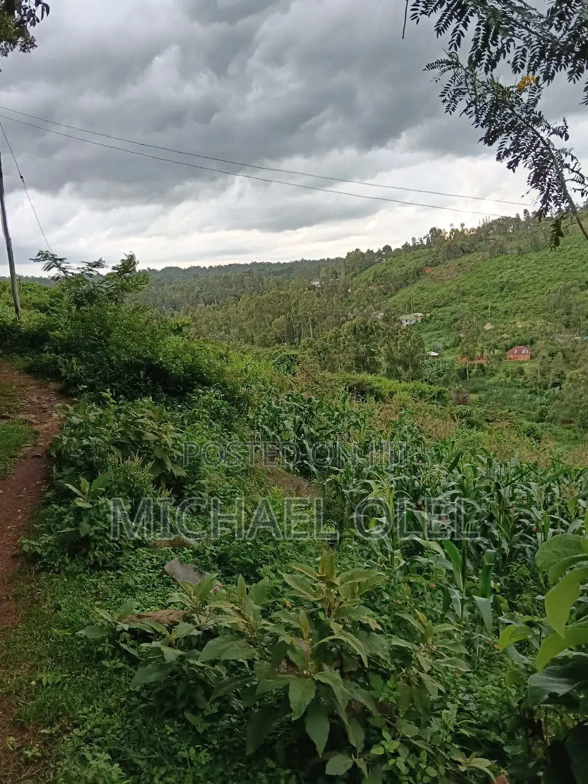 Commercial Plot for Sale!